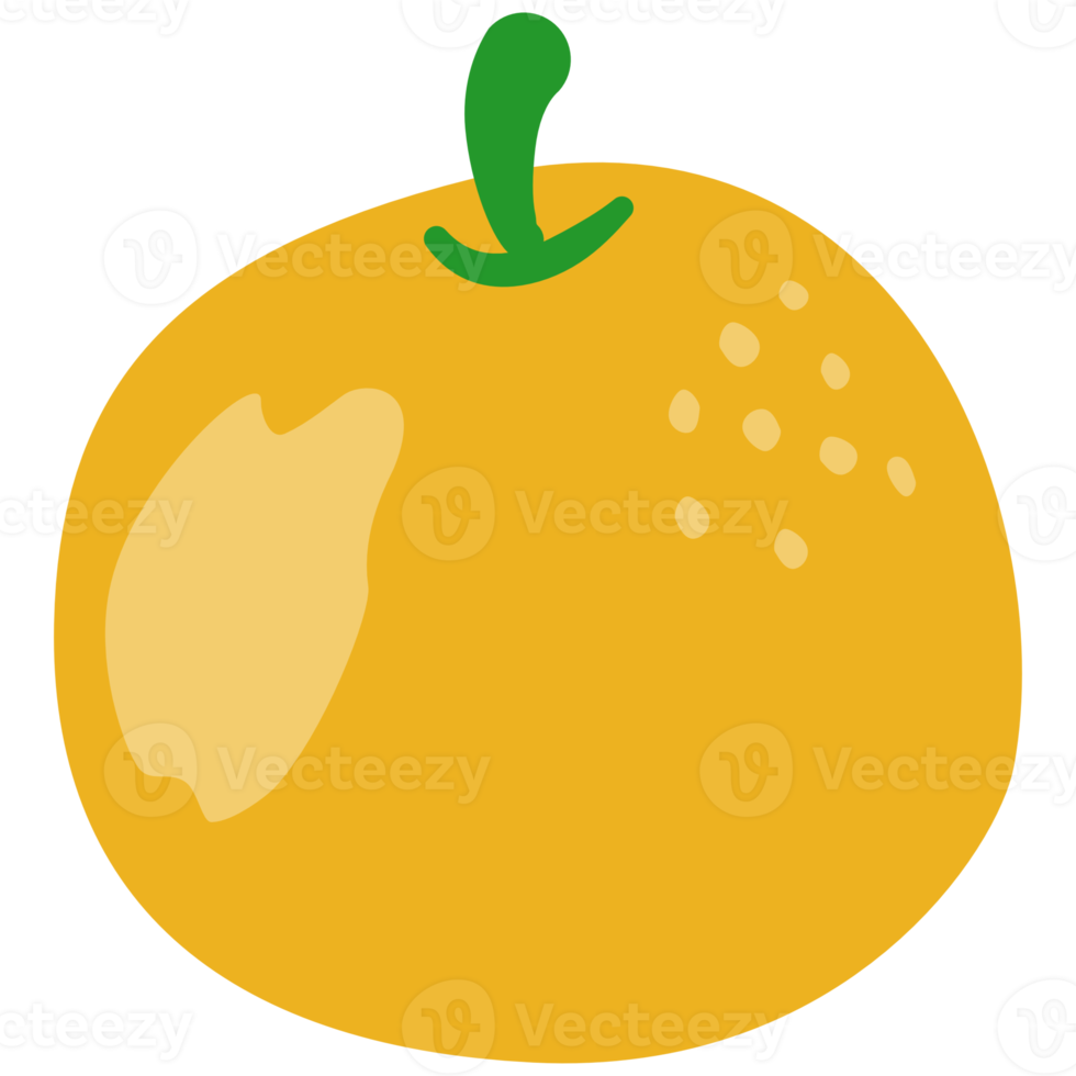 dessin animé de fruits orange png