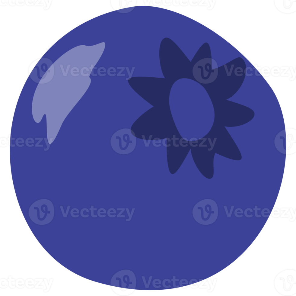 Blueberry fruit cartoon png