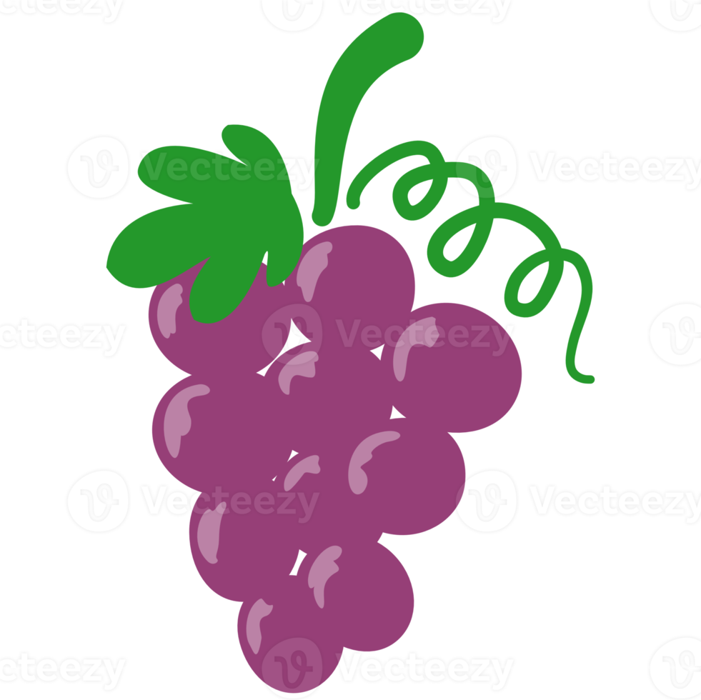 desenho de frutas de uvas png