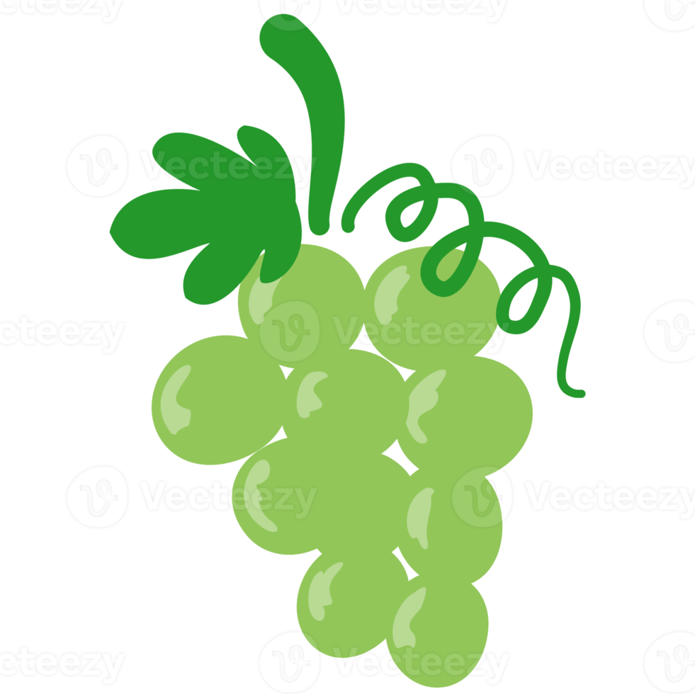 Green grapes fruit cartoon png