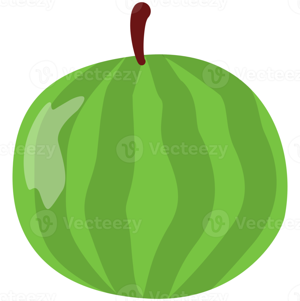 Watermelon fruit cartoon png