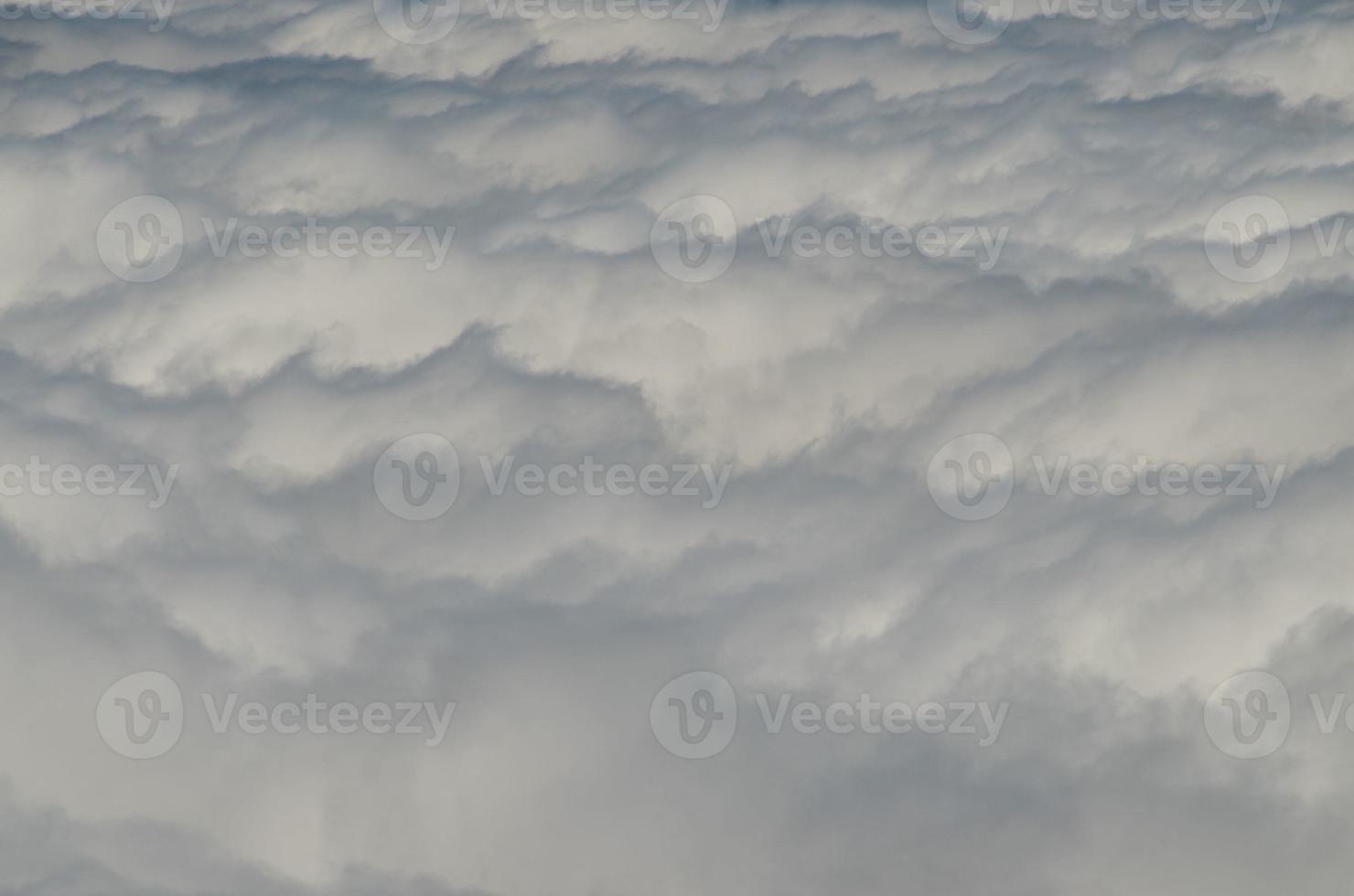 High Clouds over Pine Cone Trees Forest photo