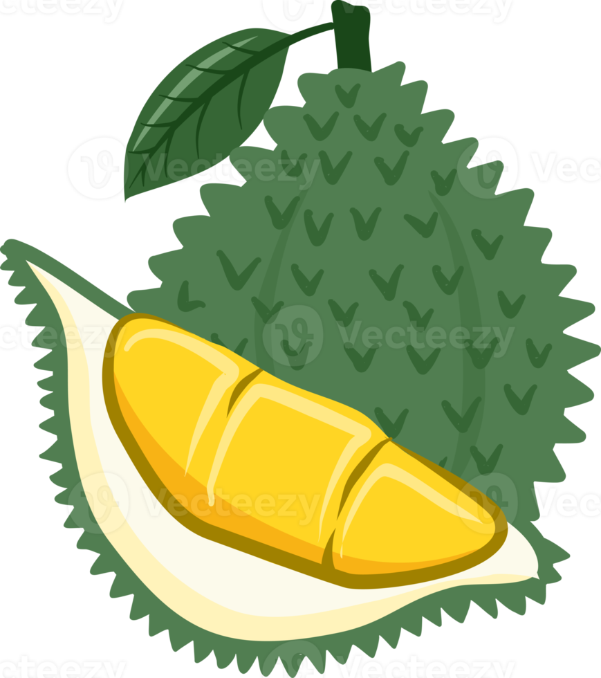 Durian Collection fruits png