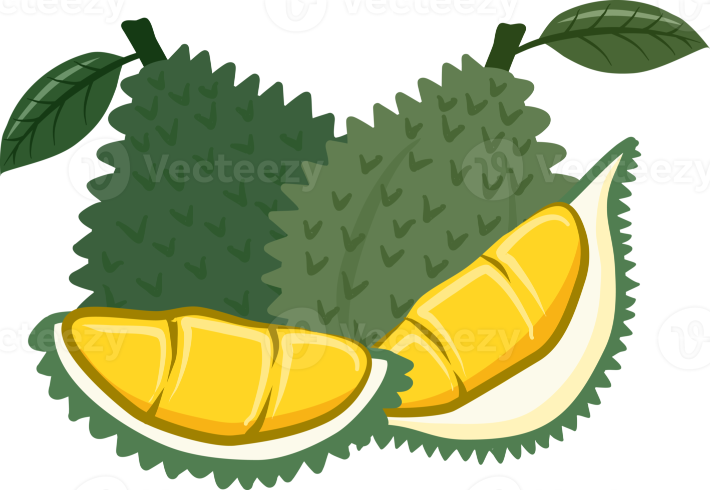 Durian Collection fruits png