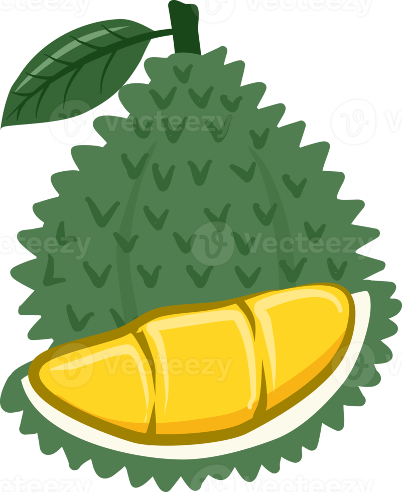 Durian Collection fruits png