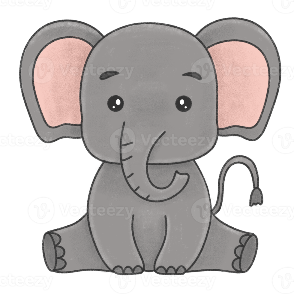 lindo bebé elefante ilustración png