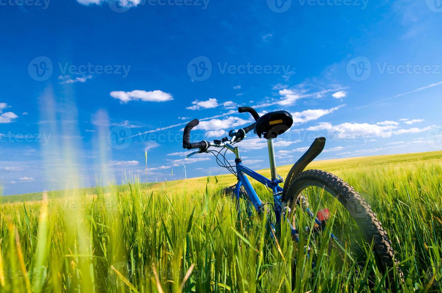 Bike on the field photo
