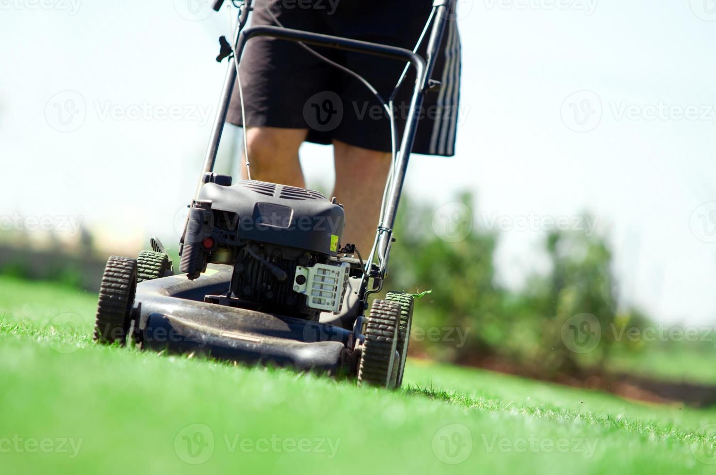 Mowing the lawn photo