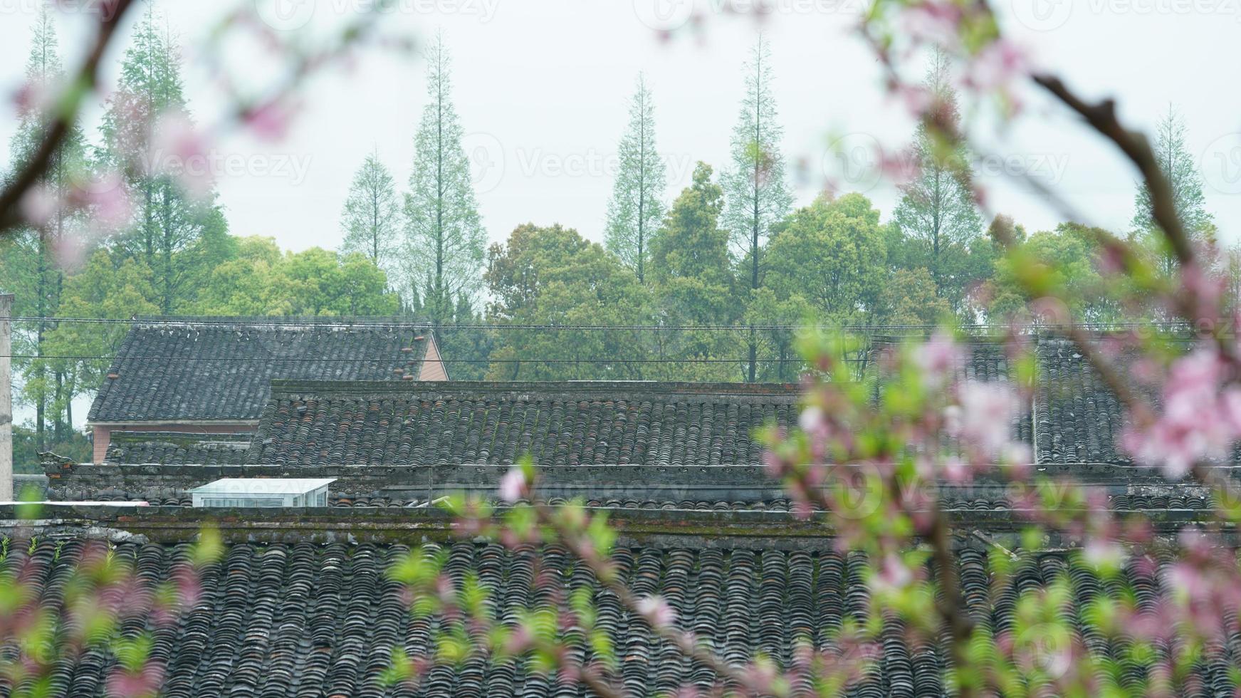 The beautiful Chinese countryside village view with  the old traditional buildings surrounded by the natural environment photo