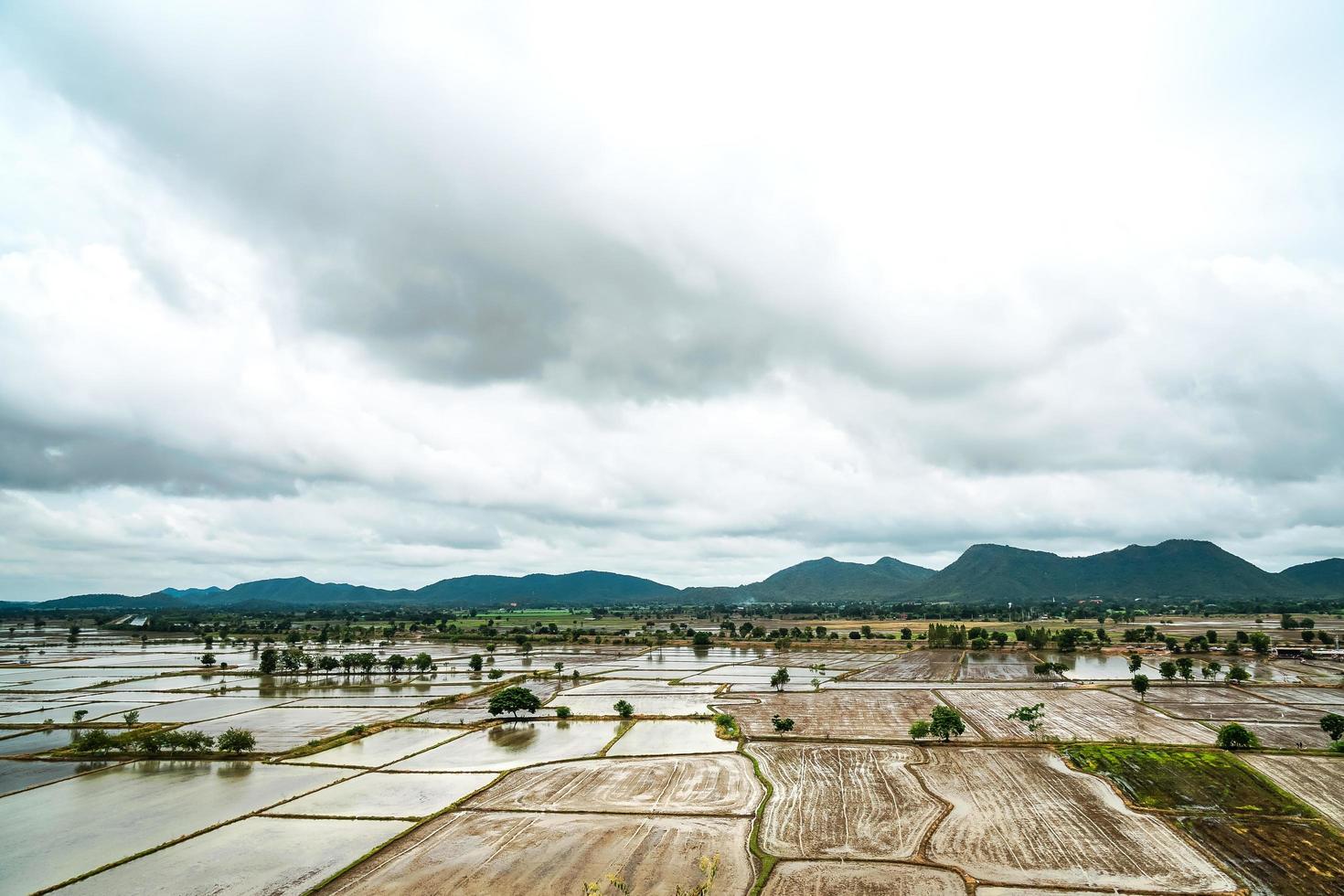 Rice fields background, In the rainy season, the farmer prepares a space for rice planting with sky and clouds photo