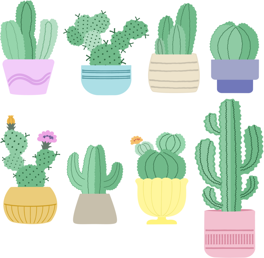 On a white background, is a collection of png cactus pot plants.