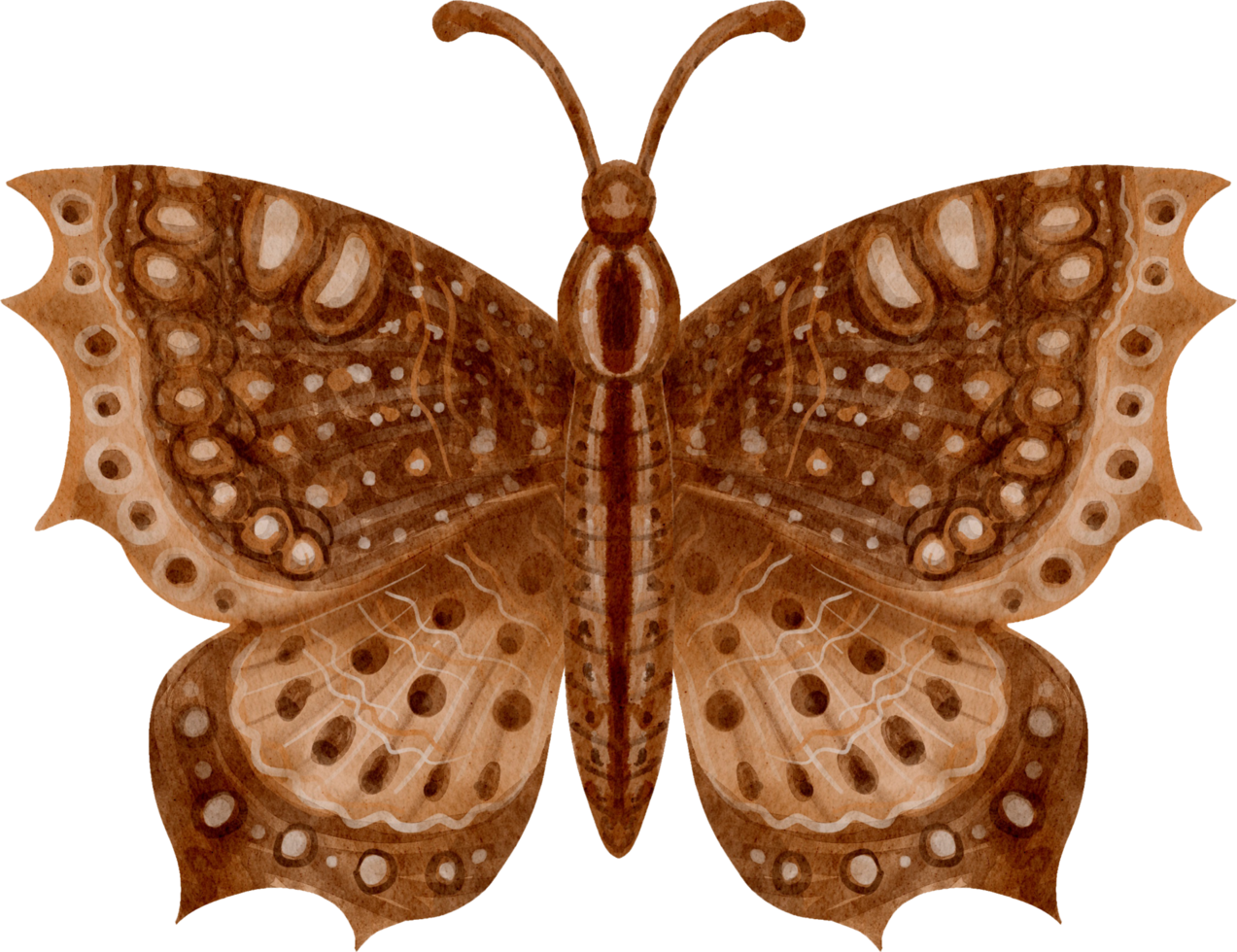 mariposa vintage acuarela png