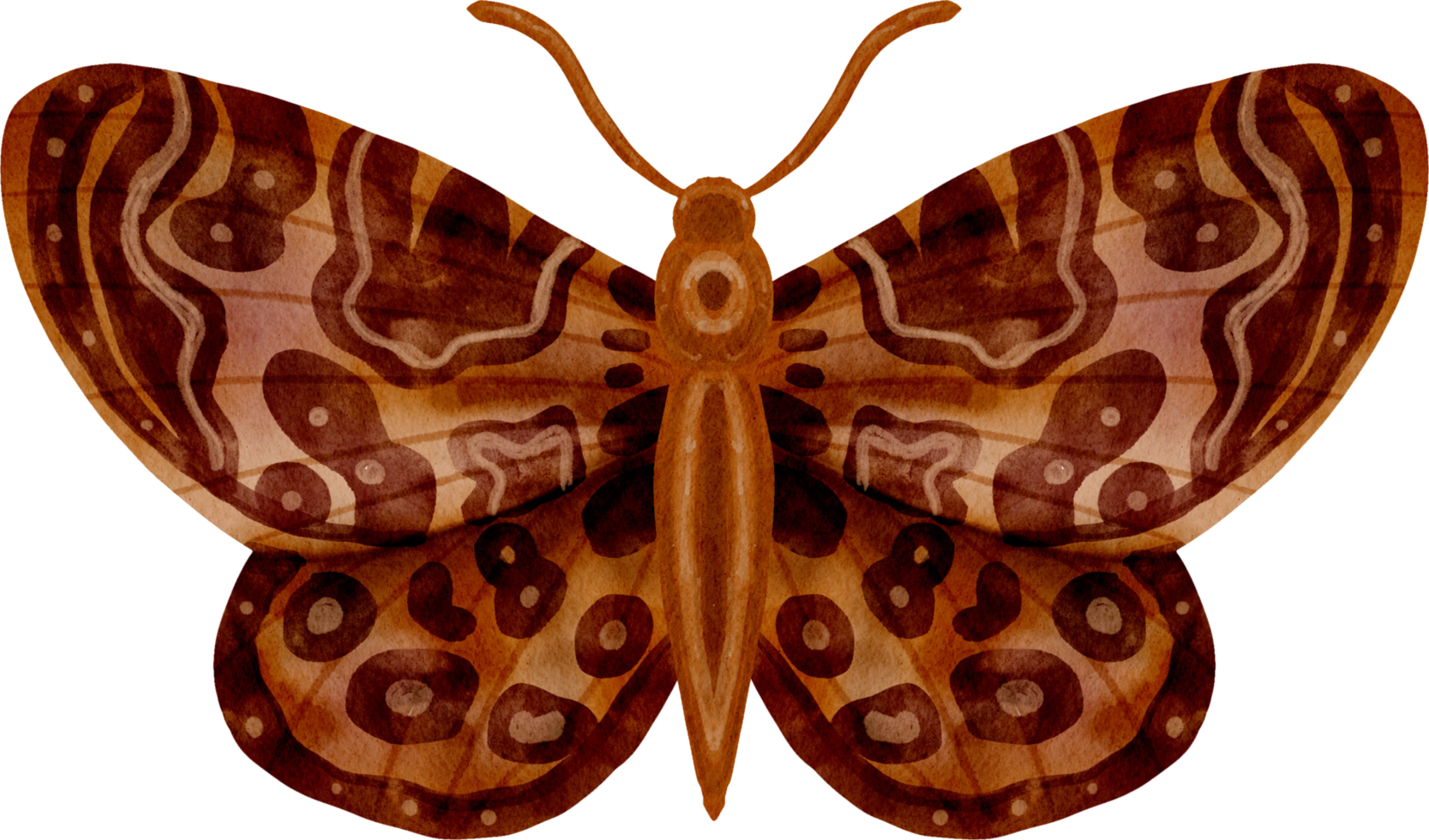 mariposa vintage acuarela png