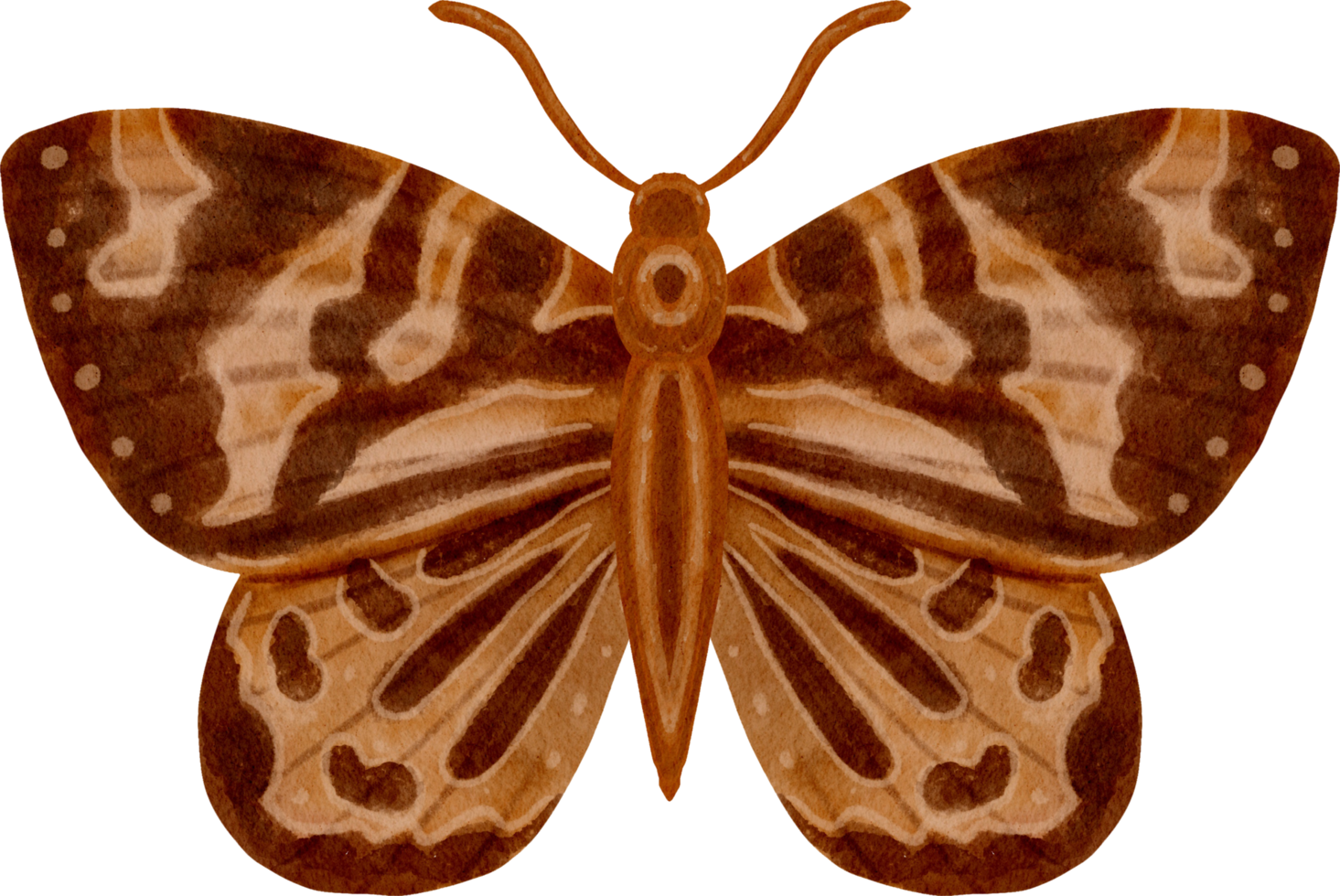 borboleta vintage aquarela png