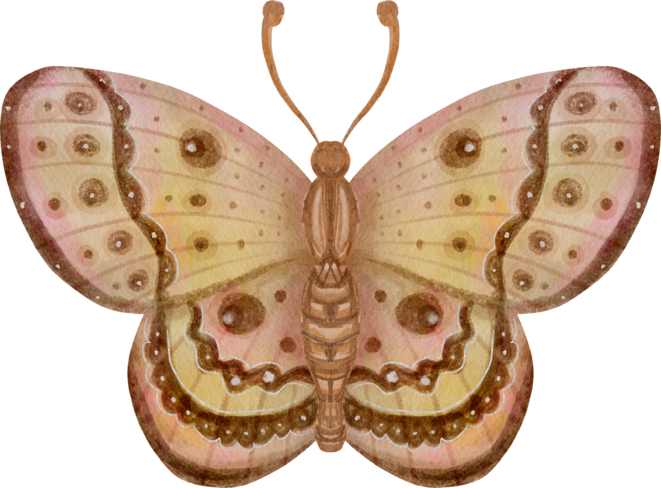 borboleta vintage aquarela png