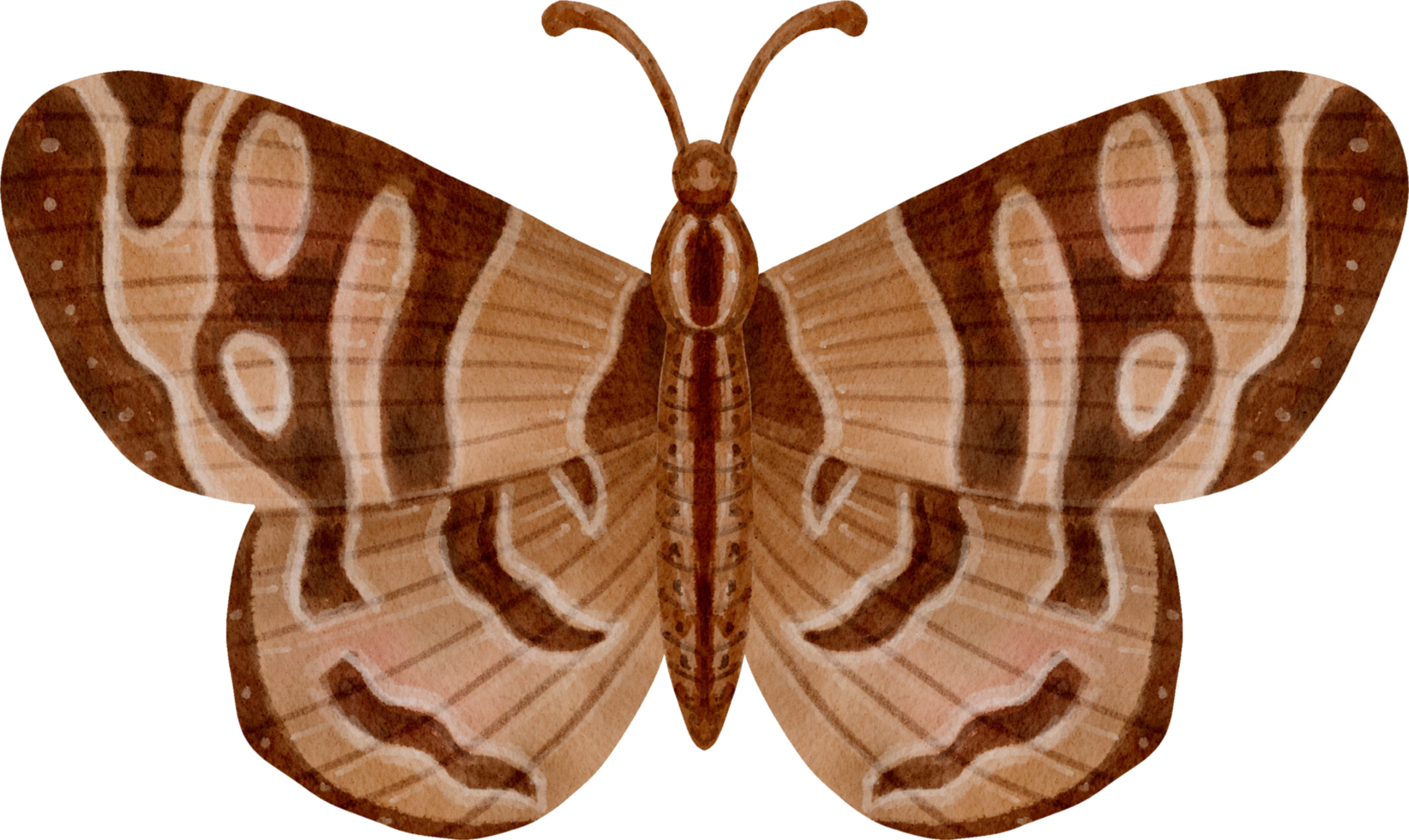 mariposa vintage acuarela png