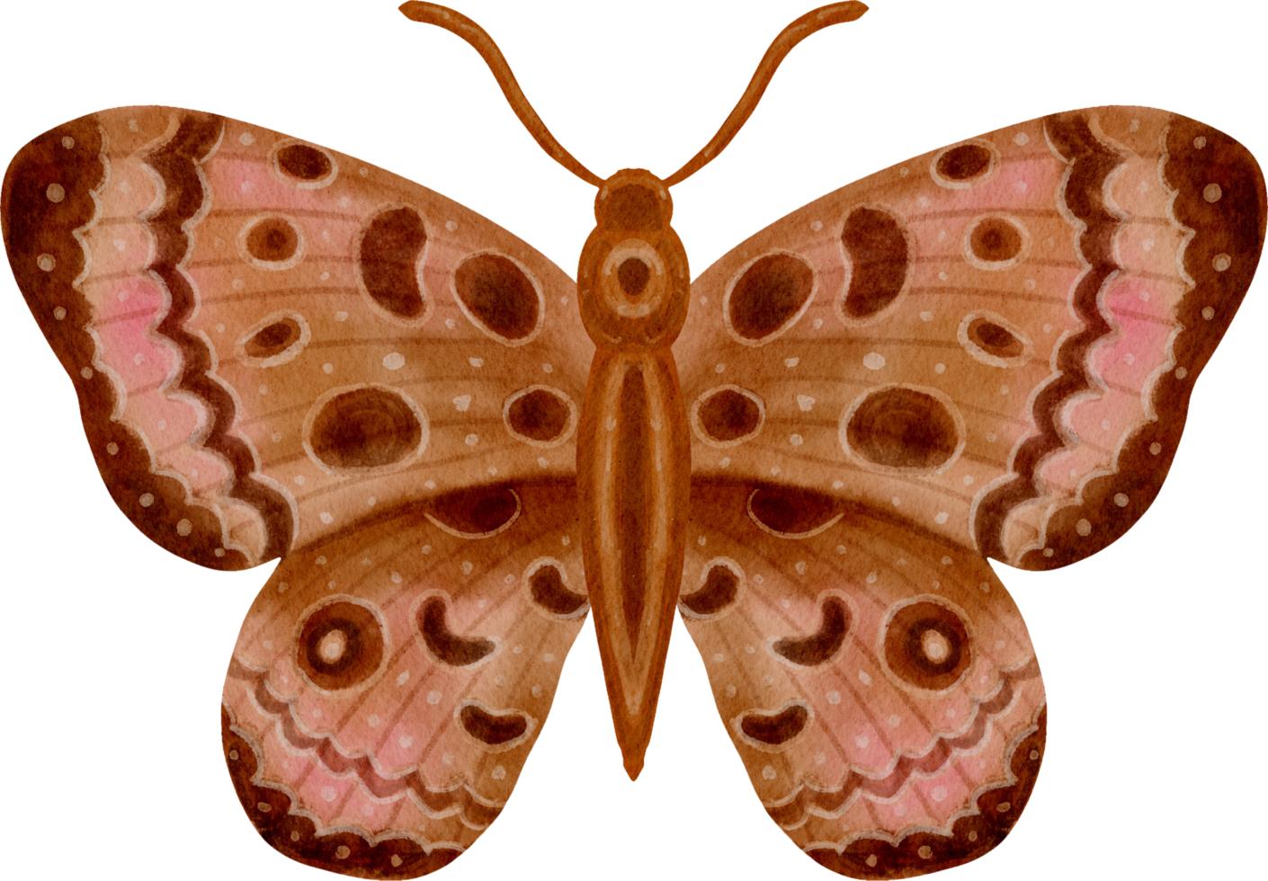 farfalla dell'annata dell'acquerello png