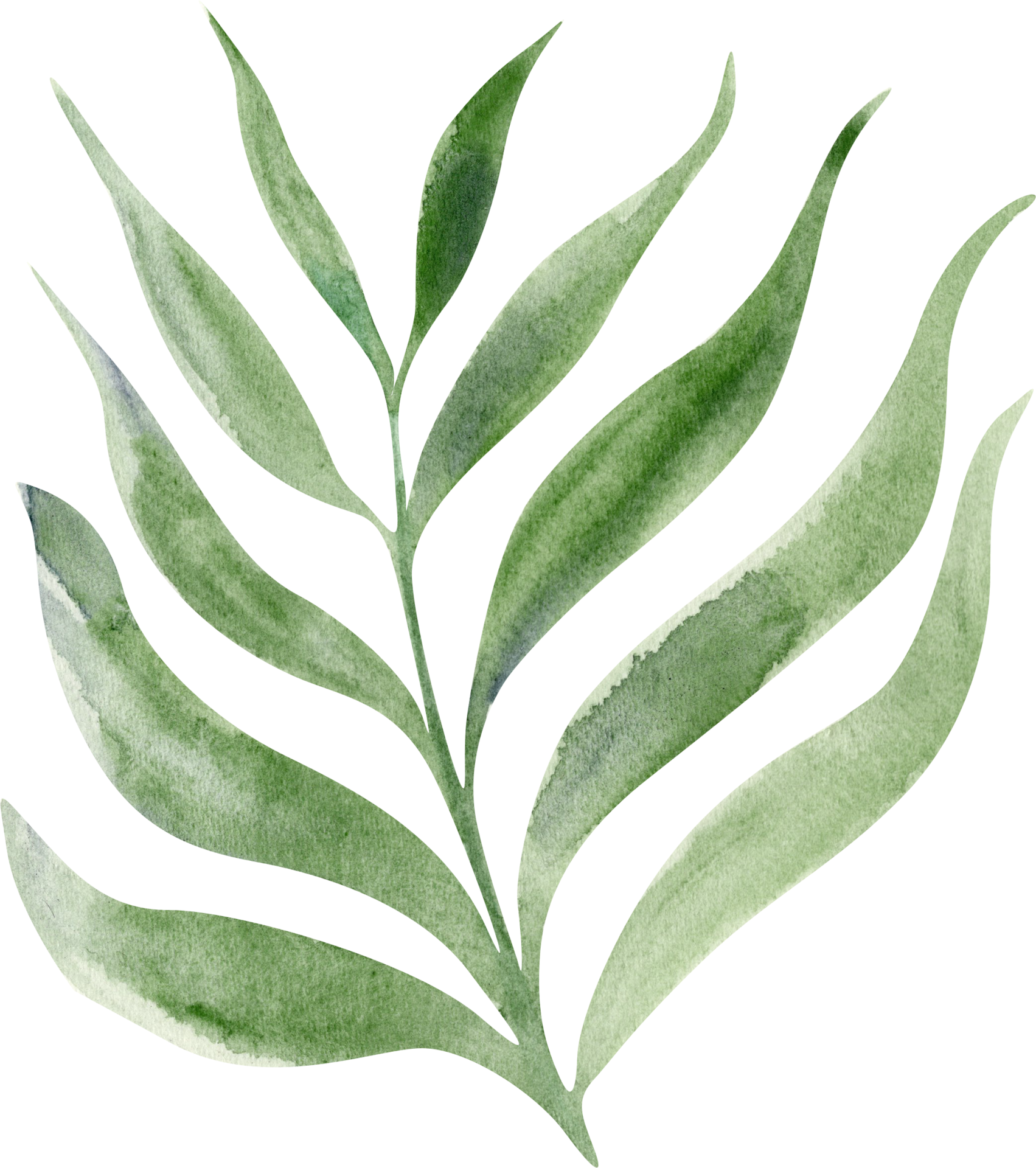 Plant PNG Free Images with Transparent Background - (45,096 Free Downloads)