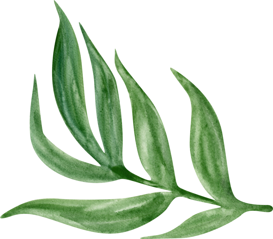 planta verde aquarela png