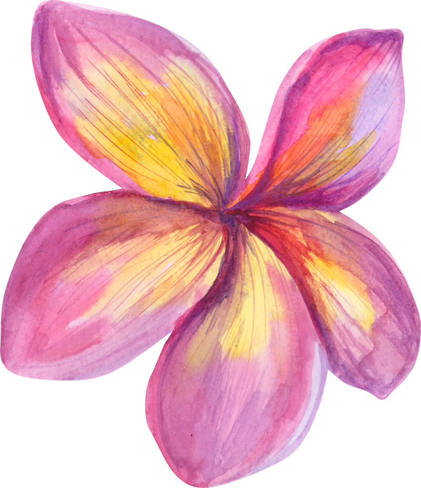 Watercolor tropical flower png