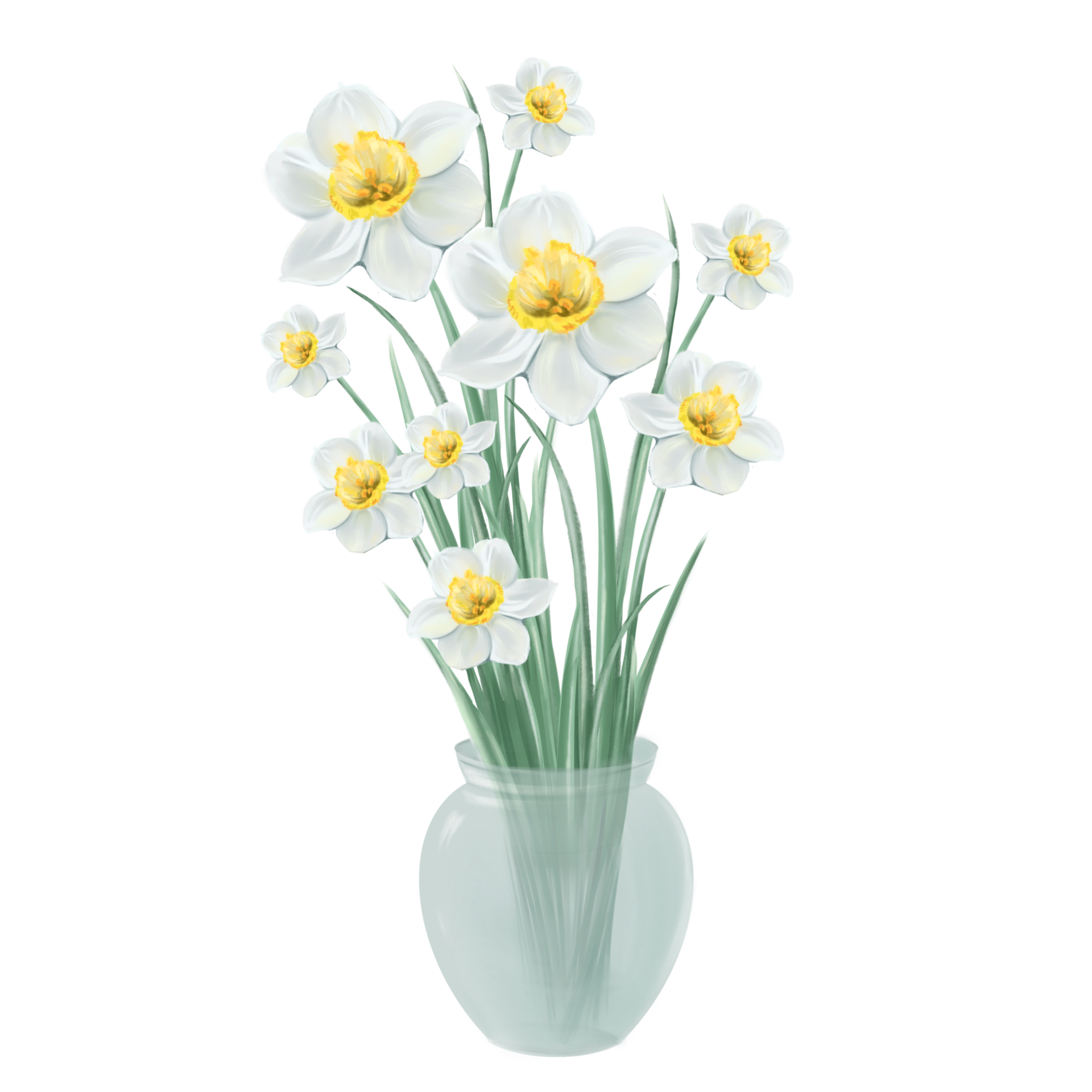 bouquet de fleurs de narcisse blanc dans une illustration de vase 8508201  PNG