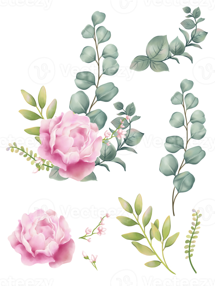 Watercolor Peony flower illustration set - collection green blushes blue, yellow pink for wedding stationary, greetings, wallpaper, fashion, posters, background. png