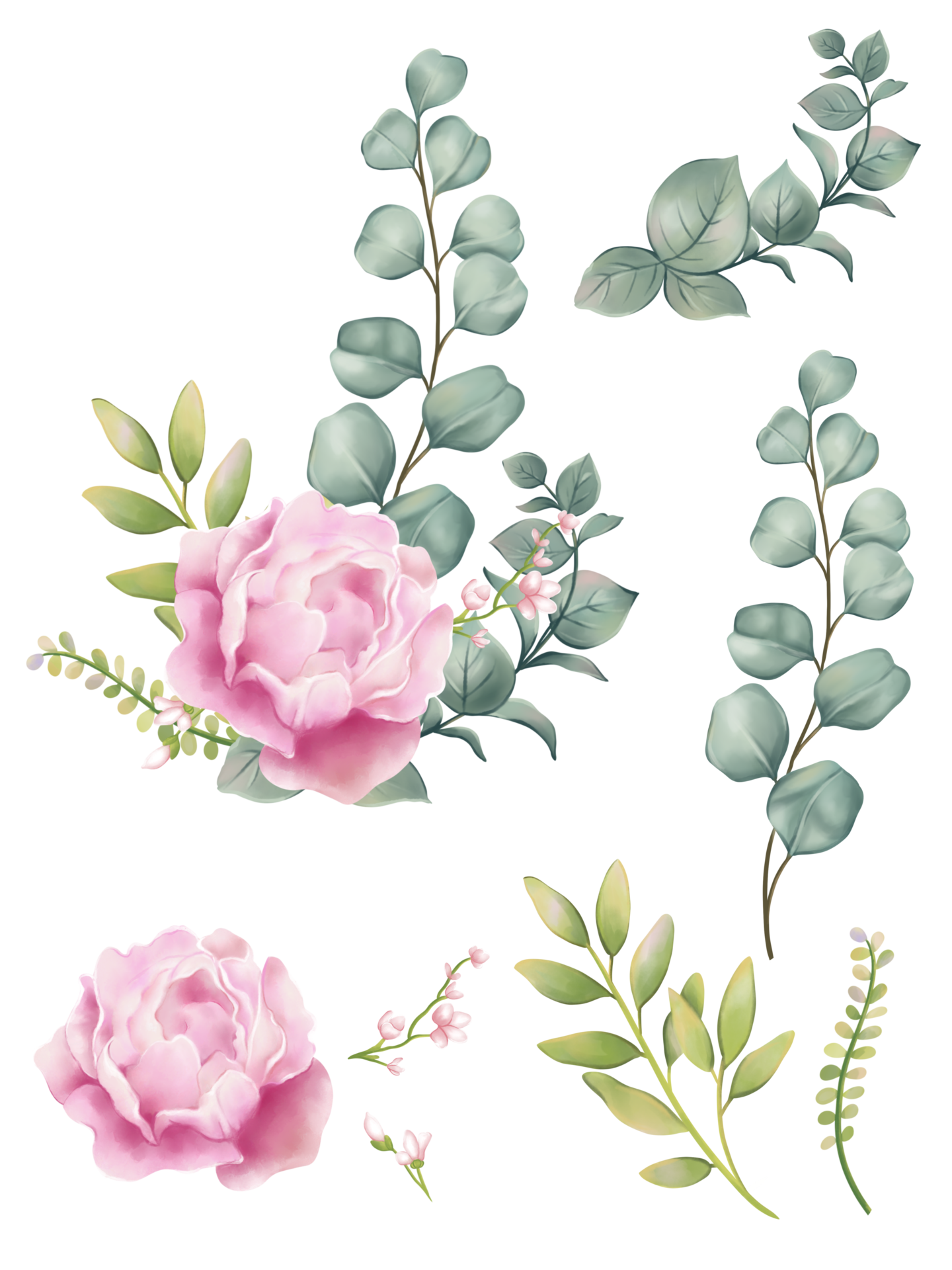 Free Watercolor Peony flower illustration set - collection green blushes  blue, yellow pink for wedding stationary, greetings, wallpaper, fashion,  posters, background. 8508306 PNG with Transparent Background