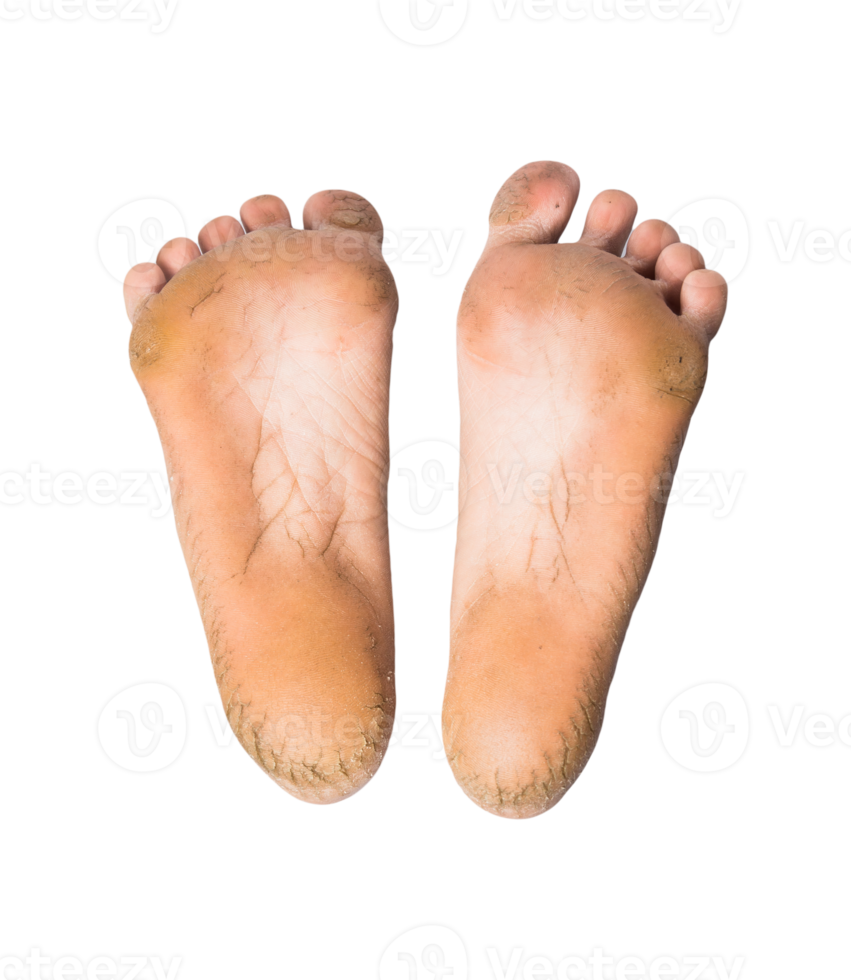 foot or pair of bare feet on isolated background png