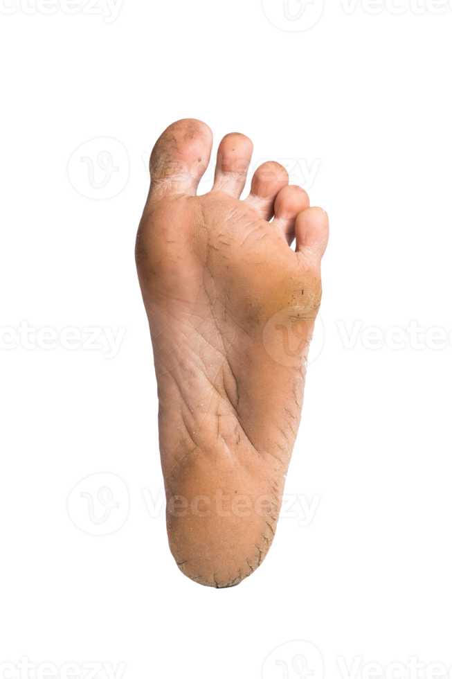 https://static.vecteezy.com/system/resources/previews/008/508/317/non_2x/foot-or-pair-of-bare-feet-on-isolated-background-png.png