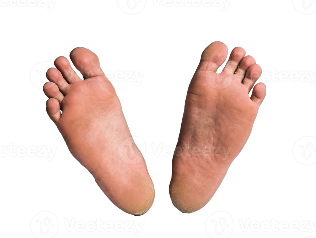 foot or pair of bare feet on isolated background png