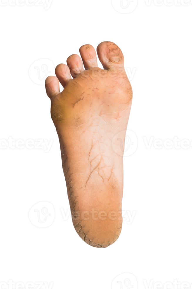 foot or pair of bare feet on isolated background png