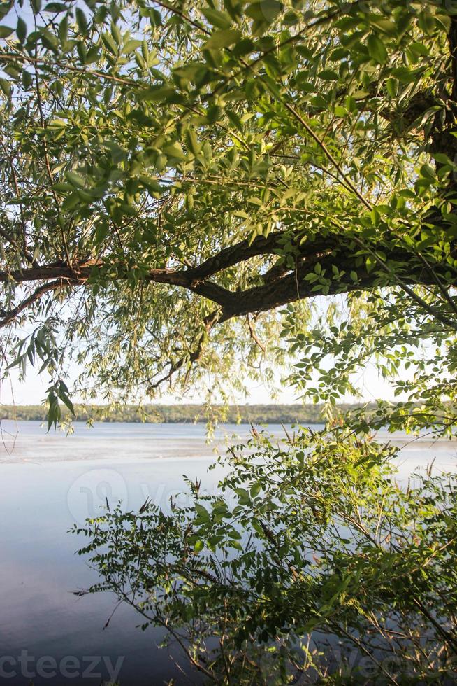 Landscape of the Dnieper River, Zaporozhye region. Ukraine. Summer view of the river in green trees, wildlife, nature reserve, clear blue sky photo