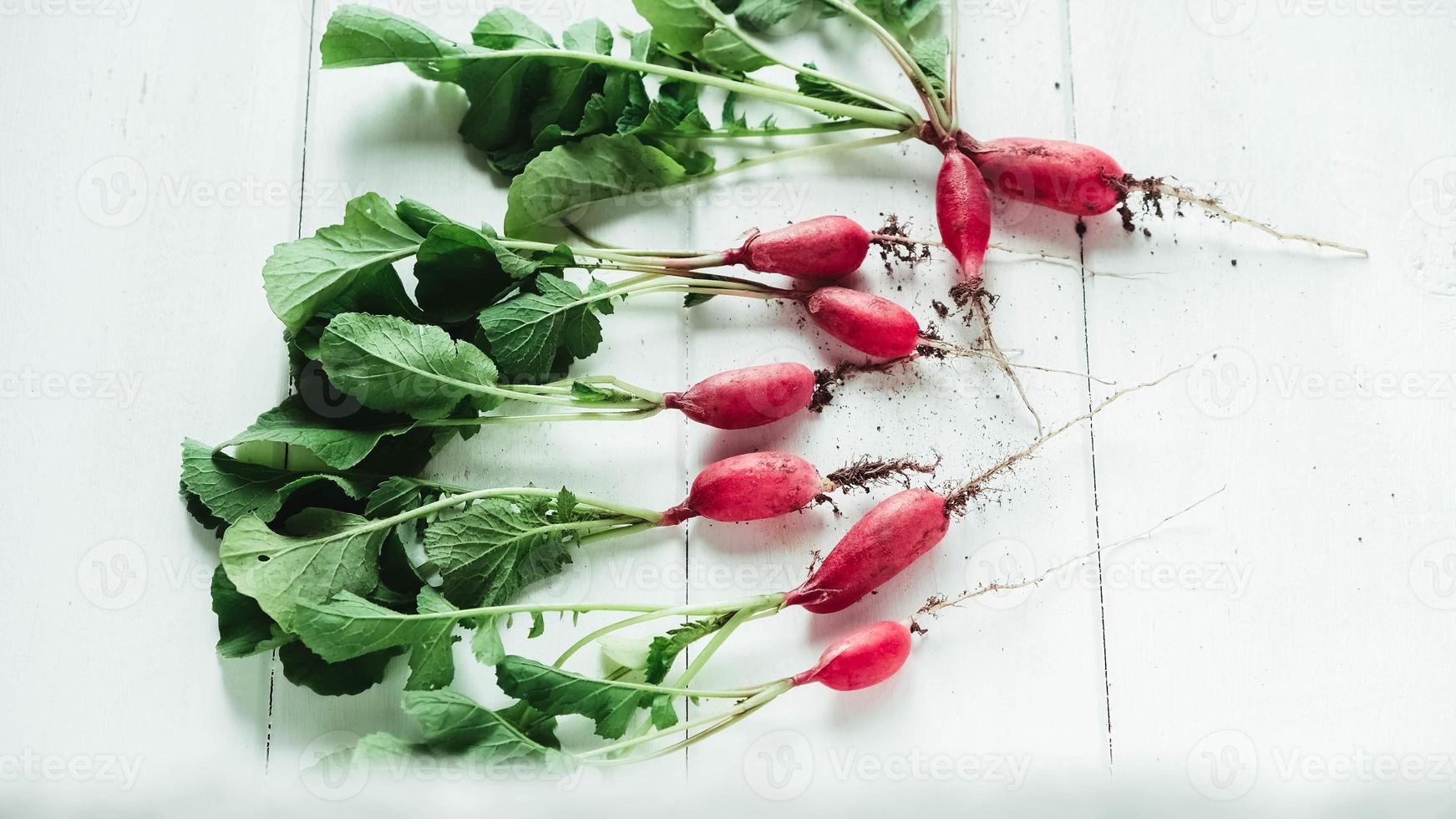 Fresh bunch of radishes on a white wooden background photo