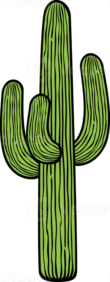 ilustración de png de planta de cactus