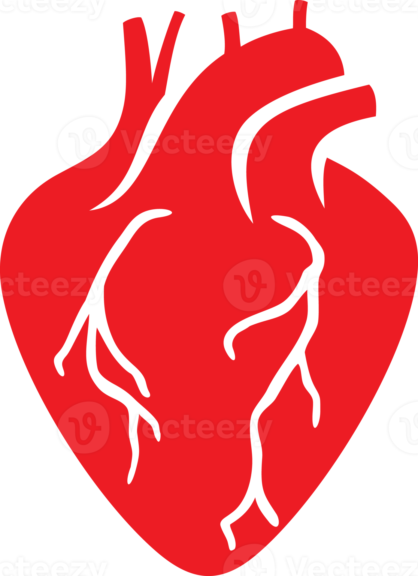 Human Heart Png Illustration 8509712 Png