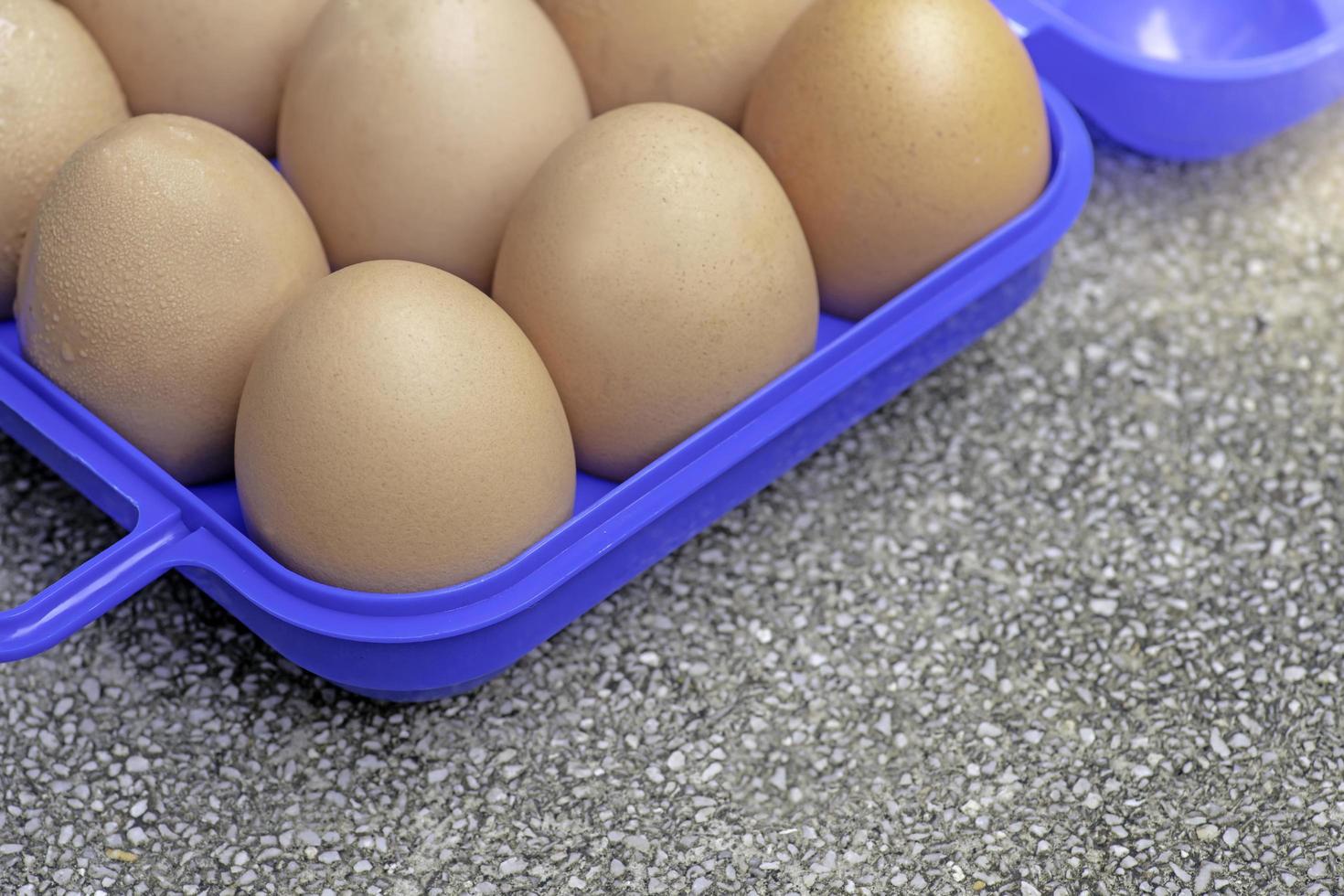 Chicken eggs in a blue plastic box.soft focus. photo