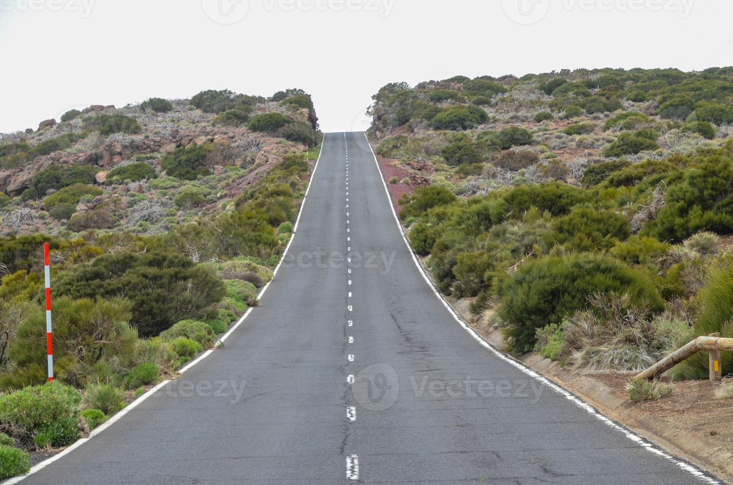 camino en día nublado en el parque nacional del teide foto