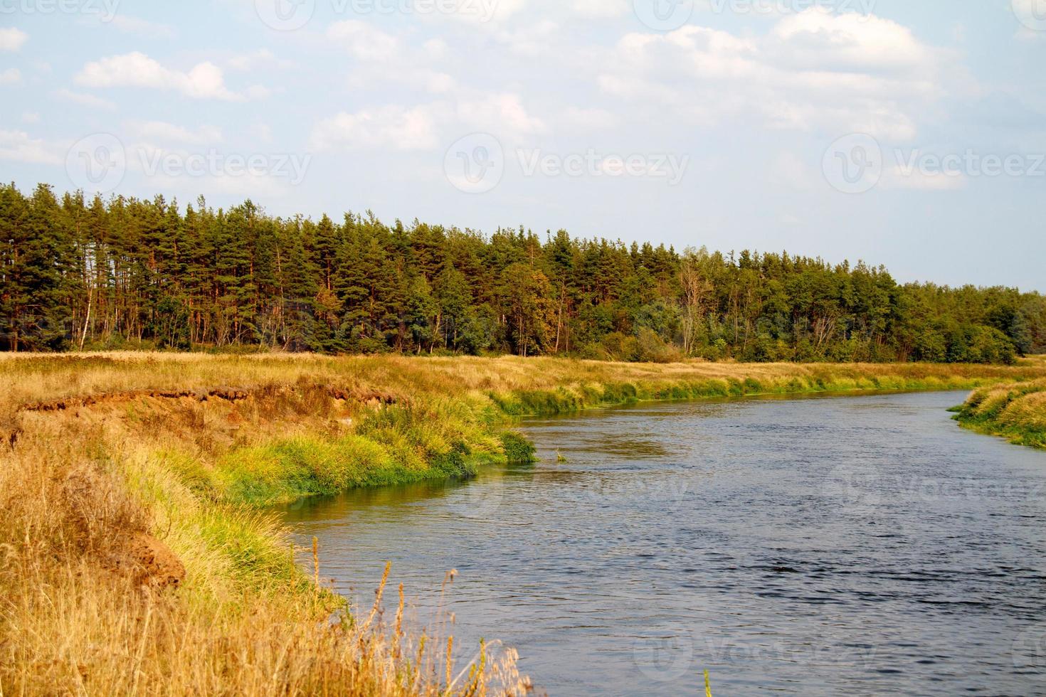 view of the beautiful river and forest photo