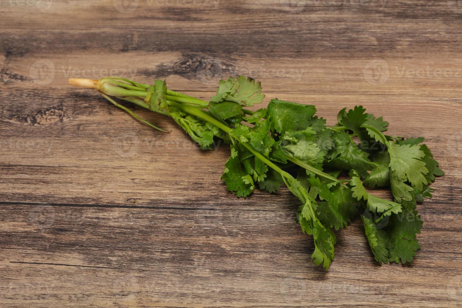 Fresh ripe Green cilantro leaves 8510728 Stock Photo at Vecteezy