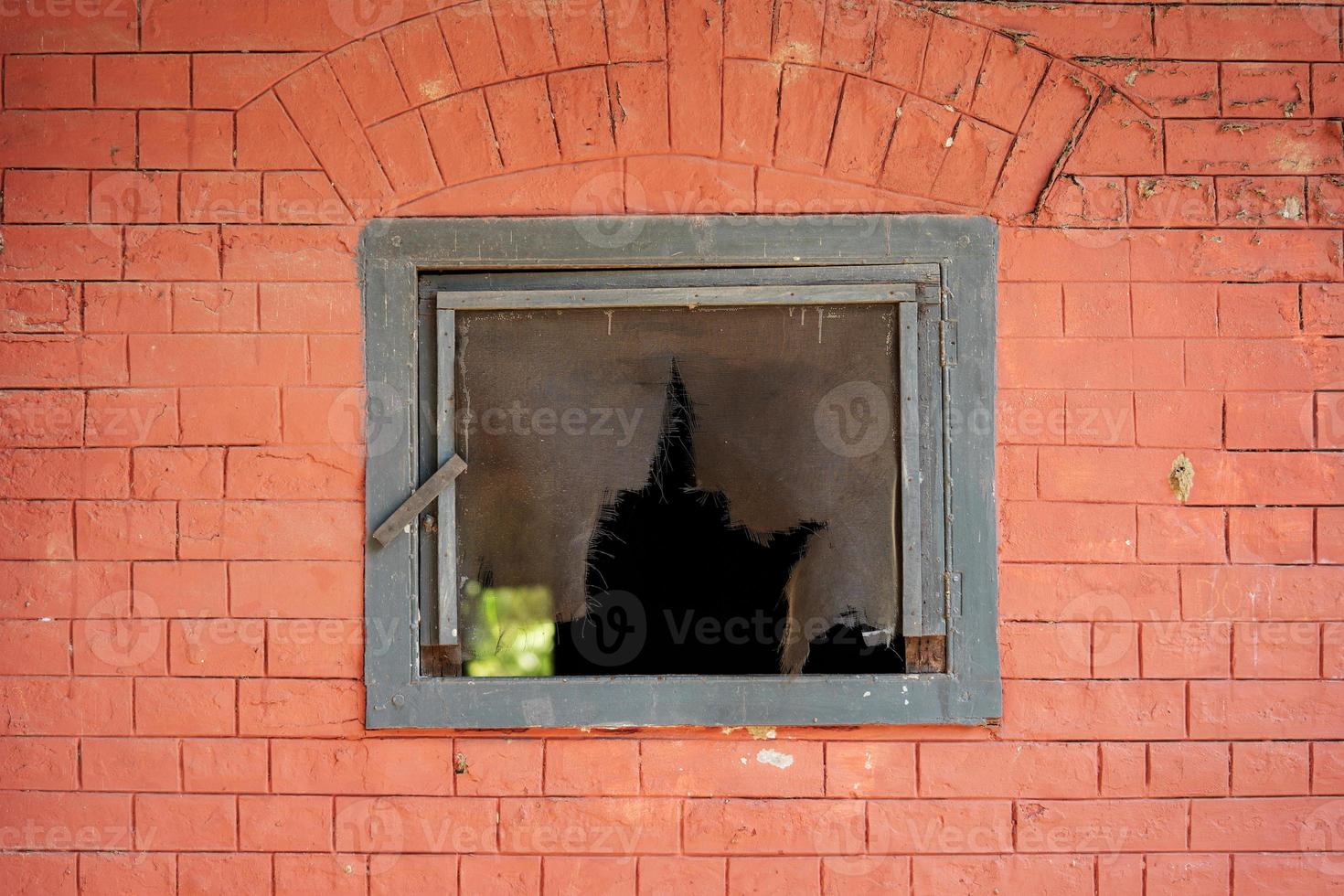 Old brick wall as an element of the packaging design photo