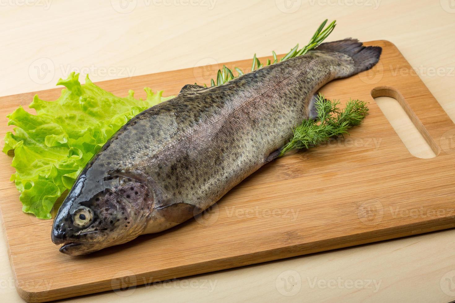 Raw fresh trout photo