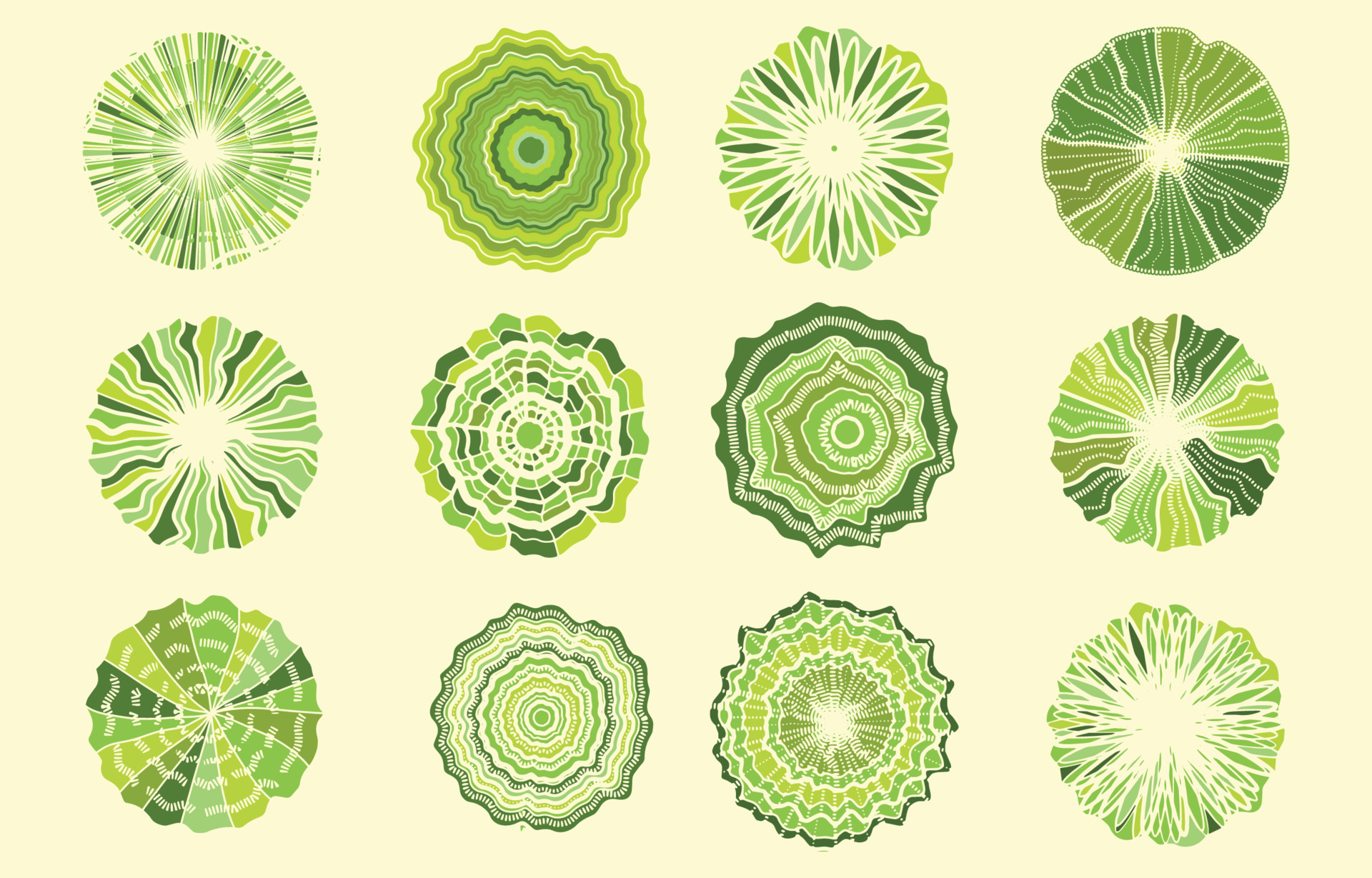 Tree Plan Elements 8511137 Vector Art at Vecteezy