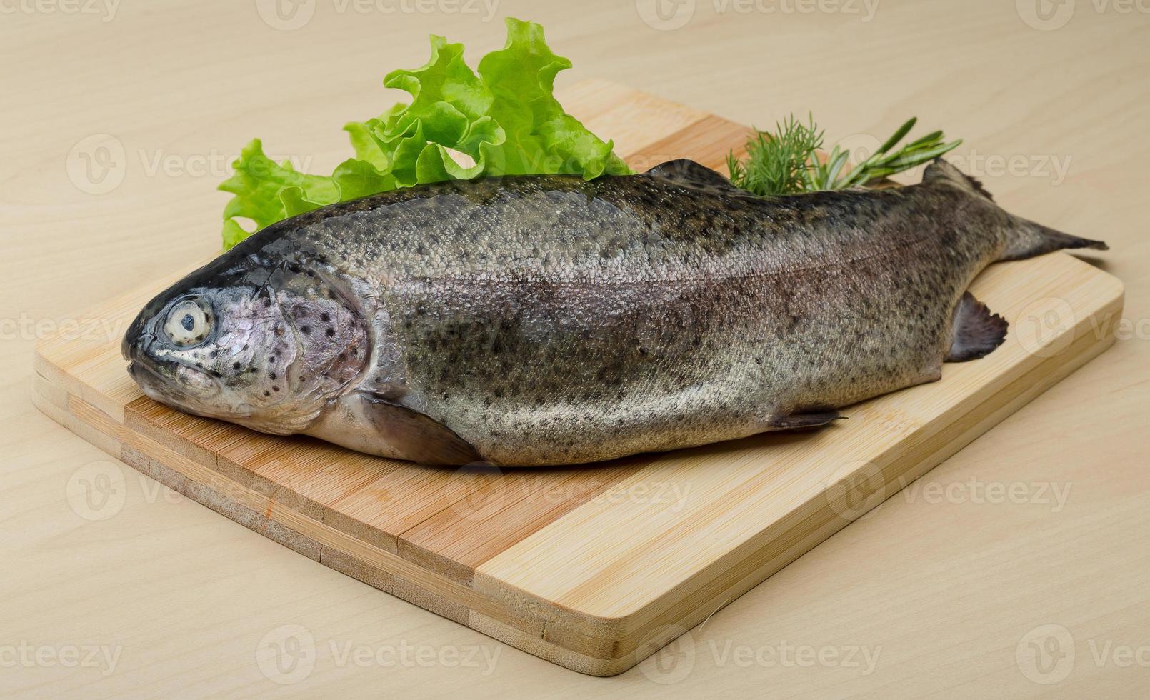 Raw fresh trout photo