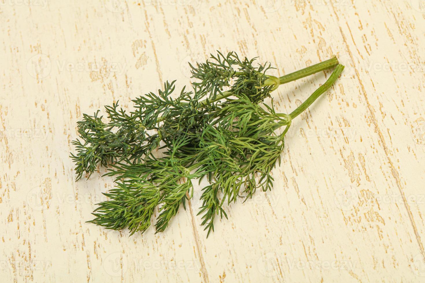 Aroma seasoning - Green Dill branch photo