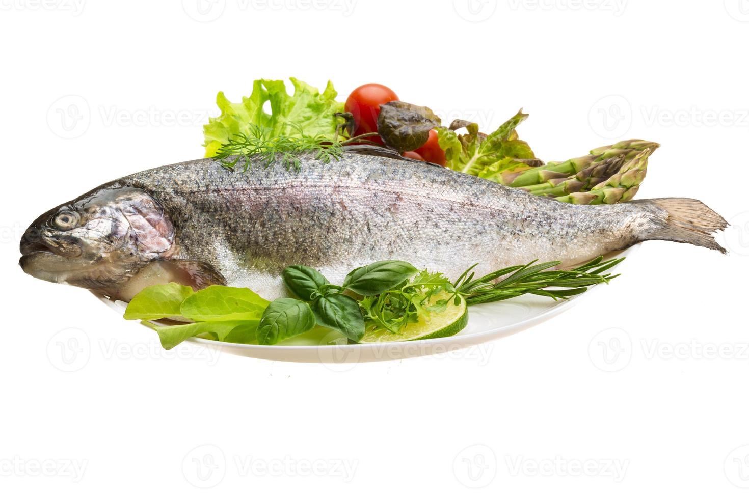 Fresh raw rainbow trout photo