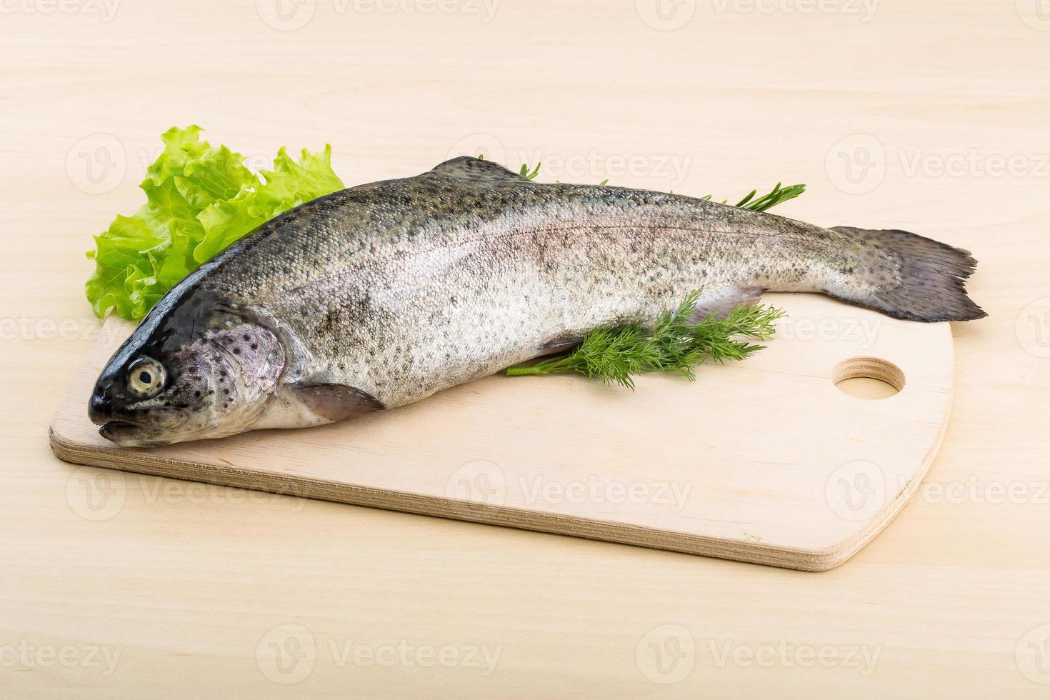 Raw fresh trout photo