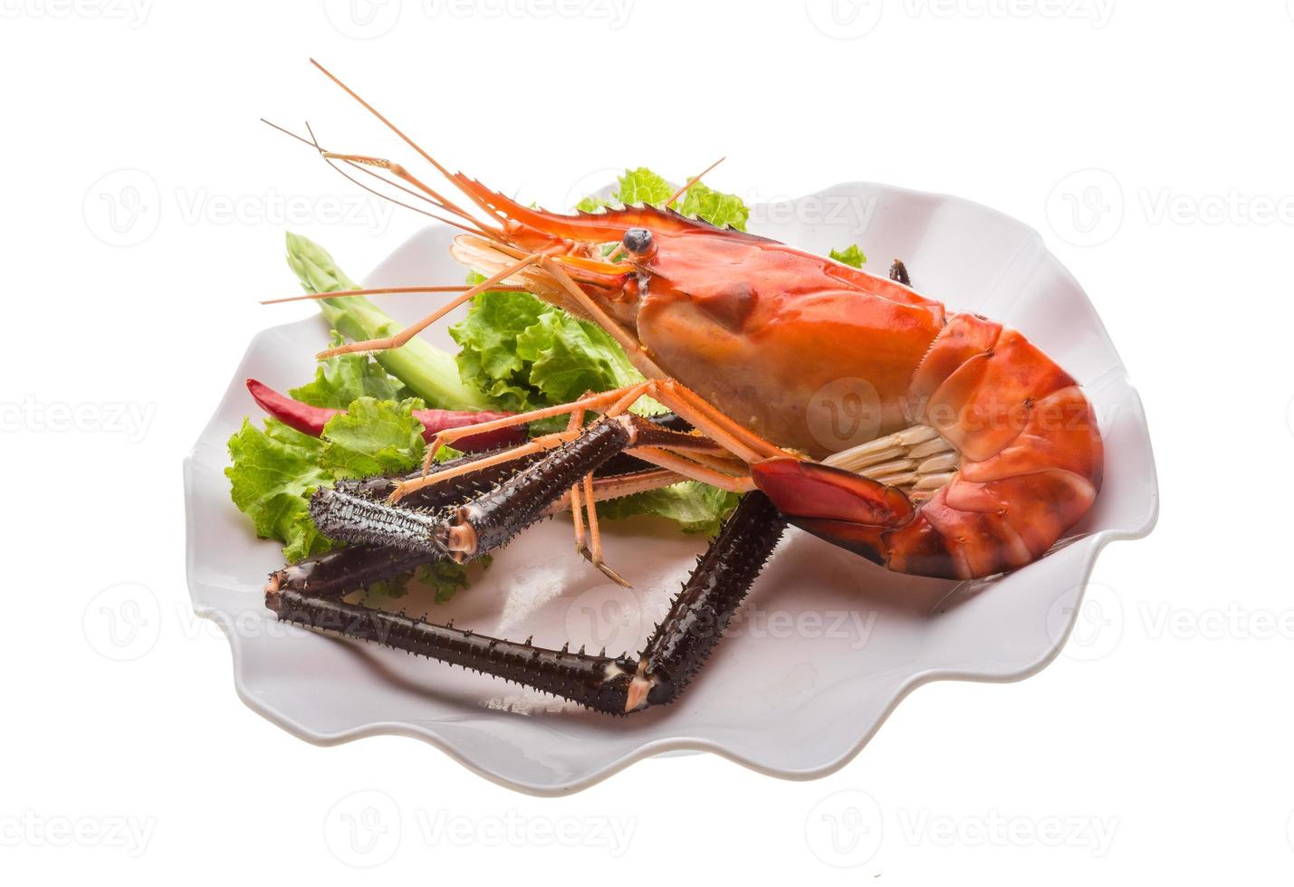 Giant Freshwater Prawn photo