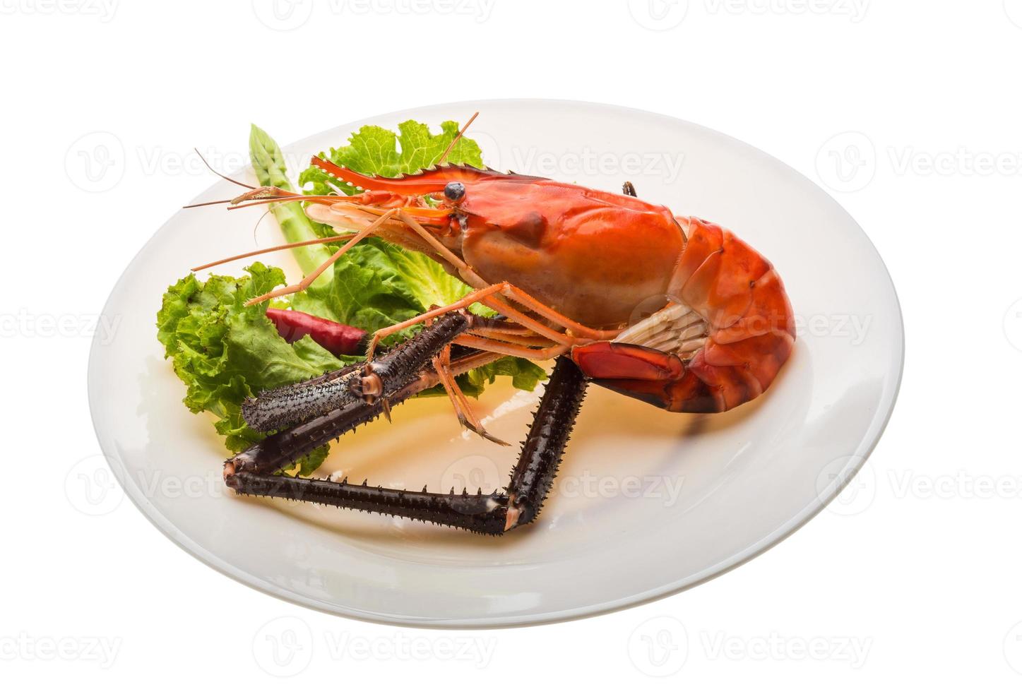 Giant Freshwater Prawn photo