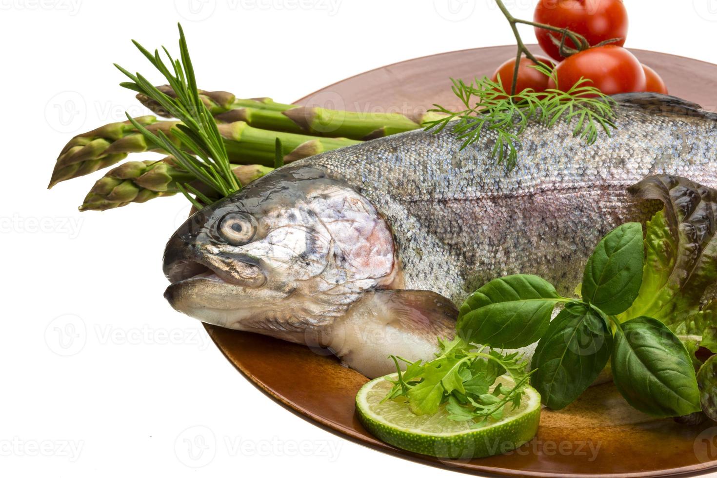 Fresh raw rainbow trout photo