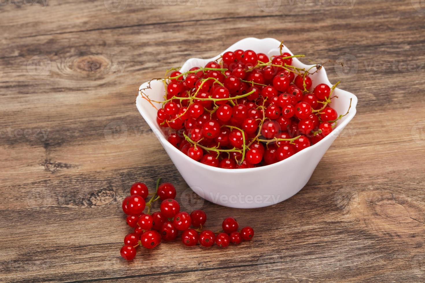 Sweet tasty fresh Red currant photo